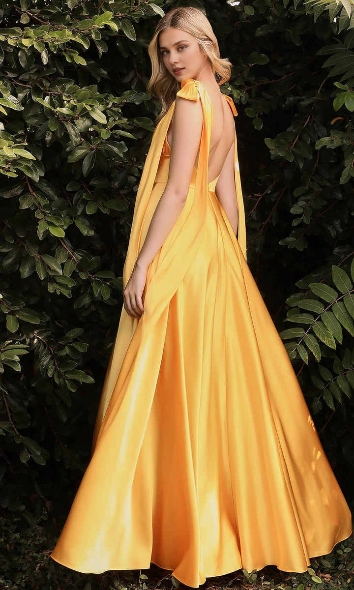 Robes de soirée pour femmes / Robe de bal trapèze à lacets et décolleté plongeant
